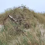 8 Person In Harboore